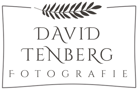 David Tenberg Fotografie | Fotograf - Fulda - Hessen